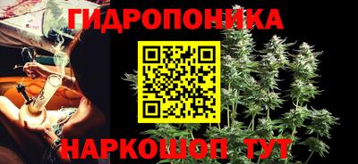 сатива Аргун