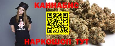 сатива Аргун